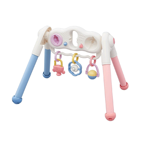 Toyroyal 2 in 1 Educational EX