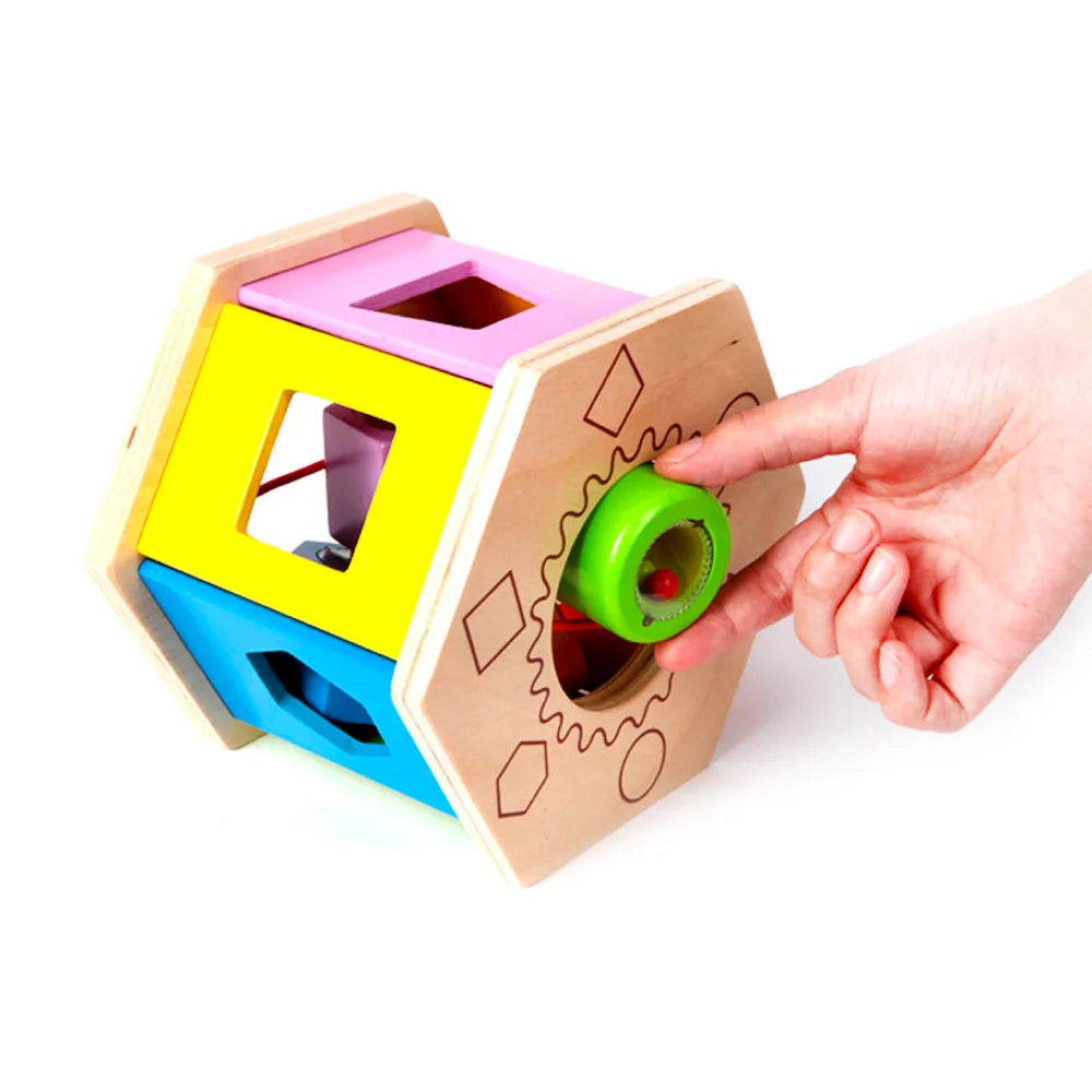 Hape Shake and Match Shape Sorter