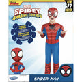 Halloween Spidey Costume