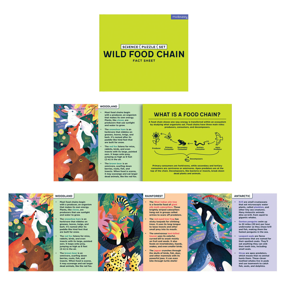 Mudpuppy Science Puzzle Set - Wild Food Chain